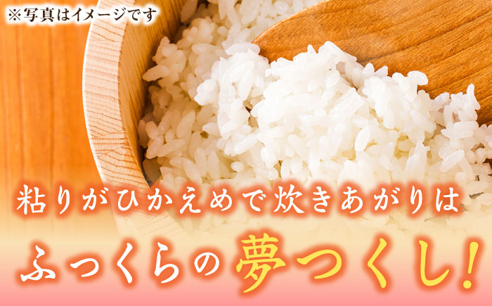 【先行予約】【令和7年産】福岡県産ブランド米「夢つくし」無洗米 20kg (5kg×4袋)【2025年9月以降順次発送】《築上町》【株式会社ゼロプラス】 [ABDD012] お米 白ご飯 夢つくし ブランド米 おにぎり