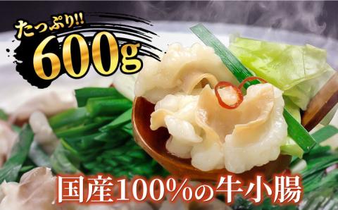 博多もつ鍋セット（和風醤油仕立て）国産牛もつ 600g 4～6人前《築上町》【株式会社ベネフィス】 [ABDF005]