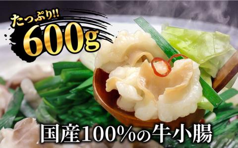 博多明太もつ鍋セット（4～6人前）《築上町》【株式会社ベネフィス】 [ABDF007]