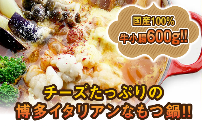 チーズとトマトのローマ風もつ鍋（4～6人前）《築上町》【株式会社ベネフィス】 [ABDF008]