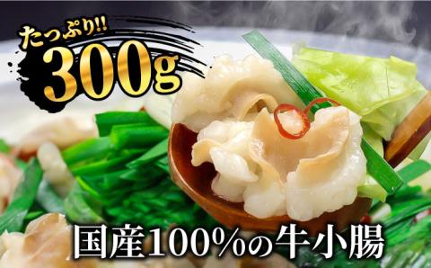 【全3回定期便】博多明太もつ鍋セット（2～3人前）《築上町》【株式会社ベネフィス】 [ABDF046]