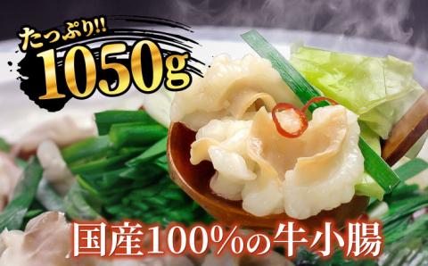 【全12回定期便】国産牛もつ1kgオーバー！和風醤油もつ鍋 10人前[牛もつ1.05kg／和風醤油スープ付]《築上町》【株式会社ベネフィス】 [ABDF066]