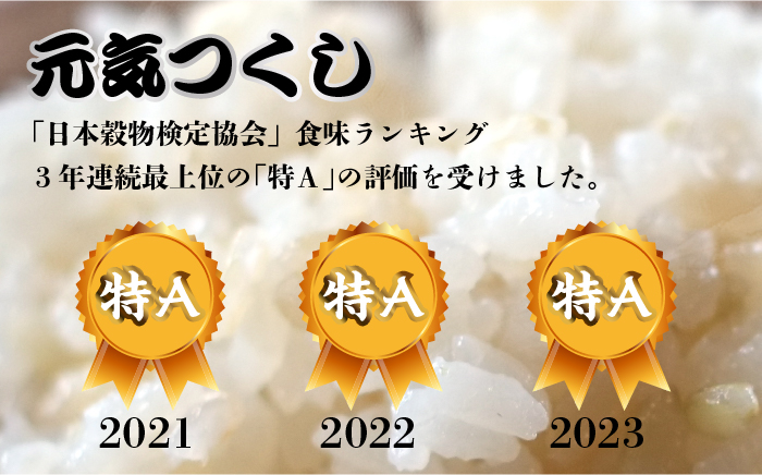 【先行予約】【全3回定期便】福岡県産【特A】評価のお米「元気つくし」5kg×2袋 [10kg] [玄米]【2024年11月下旬以降順次発送】《築上町》【株式会社ベネフィス】 [ABDF118] ご飯 ごはん 米 こめ コメ おにぎり