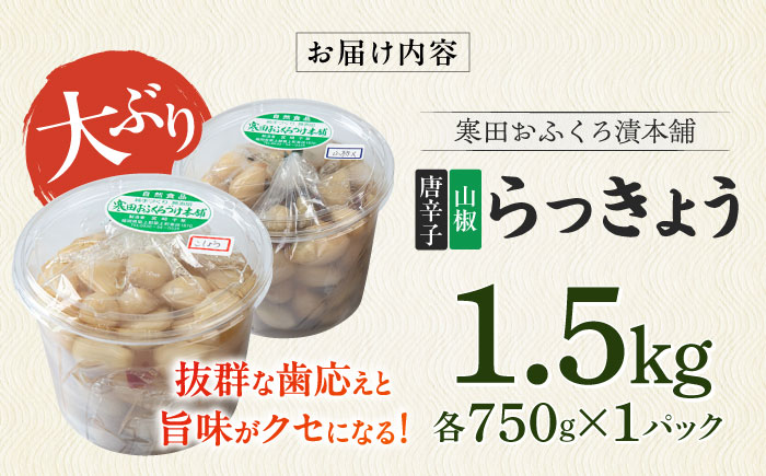 【2026年7月中旬以降順次発送】らっきょう 1.5kg（唐辛子750g・山椒750g）《築上町》【寒田おふくろ漬本舗】 [ABDO005]