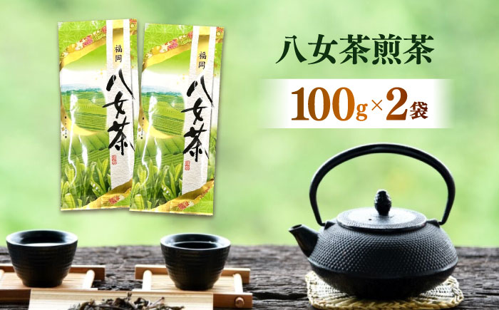 八女茶煎茶 100g×2袋《築上町》【株式会社木村食品(千代海苔株式会社)】お茶 茶 緑茶 ギフト [ABEI005]
