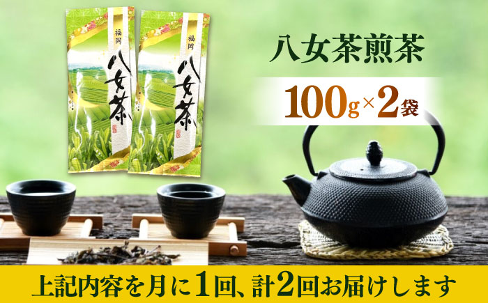 【全2回定期便】八女茶煎茶 100g×2袋《築上町》【株式会社木村食品(千代海苔株式会社)】お茶 茶 緑茶 ギフト [ABEI035]