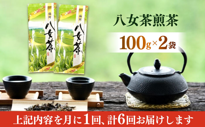 【全6回定期便】八女茶煎茶 100g×2袋《築上町》【株式会社木村食品(千代海苔株式会社)】お茶 茶 緑茶 ギフト [ABEI037]