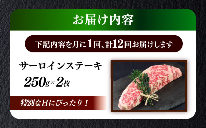 【全12回定期便】国産 博多和牛 A5ランク サーロイン ステーキ 250g×2枚 雌 ≪築上町≫【KRAZY MEAT】 ステーキ 和牛 肉 BBQ [ABEN016]