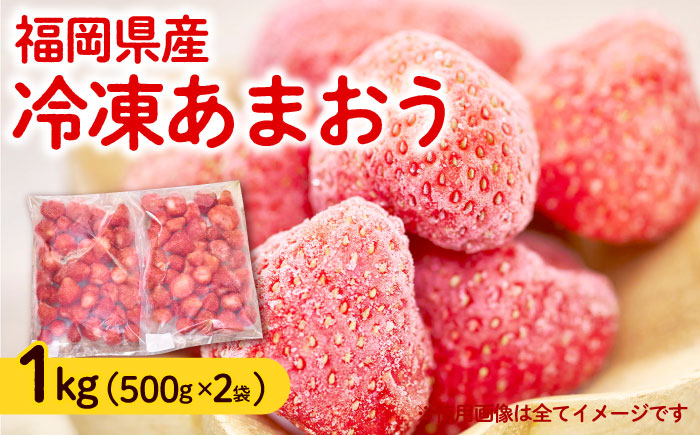 【4月以降発送】福岡産 冷凍あまおう 1kg （500g×2袋） 《築上町》【南国フルーツ株式会社】 果物 苺 いちご あまおう [ABET001]