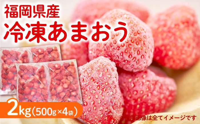 【4月以降発送】冷凍 あまおう苺 2kg （約500g×4袋） 《築上町》【南国フルーツ株式会社】 果物 苺 いちご あまおう [ABET002]