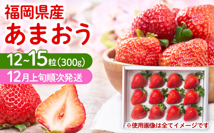 【順次発送】 福岡産 あまおう ギフト箱（12-15粒）《築上町》【南国フルーツ株式会社】 果物 苺 いちご [ABET003]