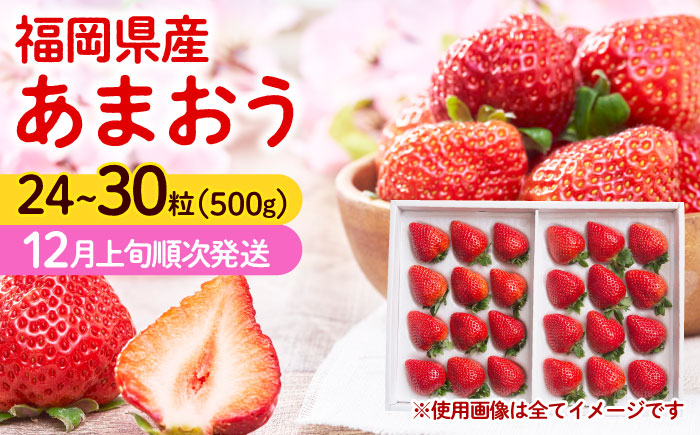 【順次発送】福岡産 あまおう ギフト箱（24-30粒） 《築上町》【南国フルーツ株式会社】果物 苺 いちご [ABET004]
