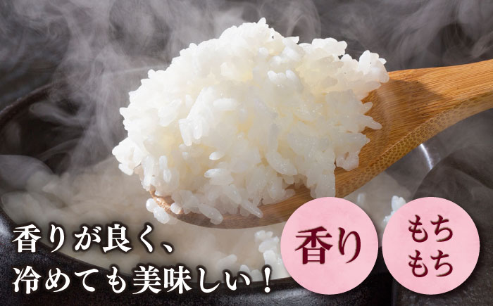 【令和7年産】果物屋さんが選んだ米 夢つくし 5kg 《築上町》【南国フルーツ株式会社】 米 白米 お米 ブランド米 [ABET008]