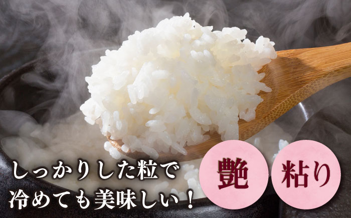【令和7年産】果物屋さんが選んだ米 元気つくし 10kg 《築上町》【南国フルーツ株式会社】米 白米 お米 ブランド米 [ABET011]