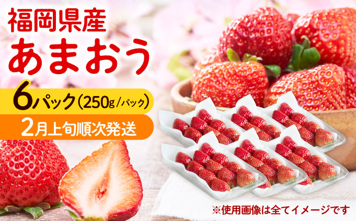 【2月上旬より発送】福岡産【春】 あまおう 6パック 《築上町》【南国フルーツ株式会社】果物 苺 いちご [ABET012]