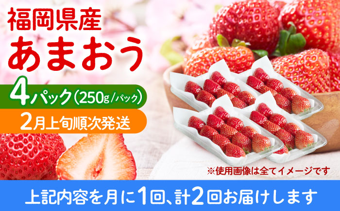 【全2回定期便】福岡産【春】 あまおう 4パック 《築上町》【南国フルーツ株式会社】果物 苺 いちご [ABET026]
