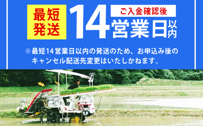 令和7年産　福岡県　元気つくし　10kg（5kg×2袋）《築上町》【カネガエ】 [ABFA005]