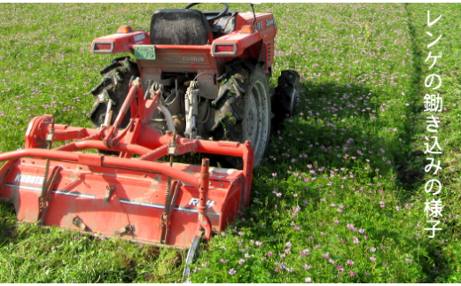 【先行予約】レンゲ栽培米 夢つくし 4.5kg 【2025年10月以降順次発送】《築上町》【久楽農園】 [ABAT001] 精米 お米 こめ コメ ご飯