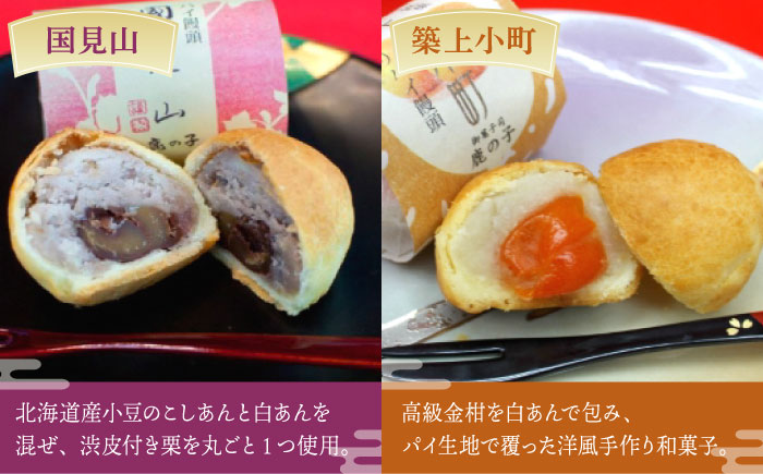 【年内発送】【老舗の菓子屋 鹿の子】和菓子 詰め合わせ「いろどり」4種 12個《築上町》【有限会社 御菓子司 鹿の子】 [ABAC012]