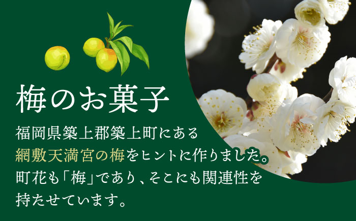 【年内発送】【老舗の菓子屋】築上銘菓「 梅の実 」12 個《築上町》【有限会社 御菓子司 鹿の子】 [ABAC019]