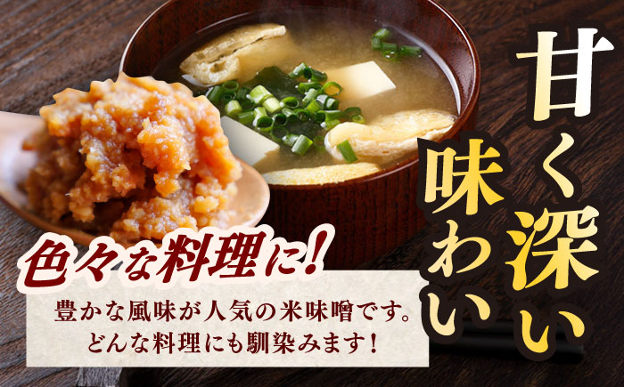 【令和7年10月以降発送】福みそ 米味噌 4kg 《築上町》【安部味噌製造所】 [ABAF003]