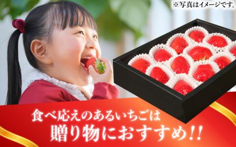 【1月中旬以降順次発送】築上町産 あまおう  12粒《築上町》【エースいちご株式会社】 大粒 あまおう 苺 いちご [ABAG006]