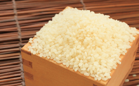 【全10回定期便】【先行予約・令和7年産】特別栽培米 ミルキークイーン 6kg 《築上町》【Nouhan農繁】 米 白米 お米 [ABAU045] 精米 米 ご飯 ごはん こめ コメ