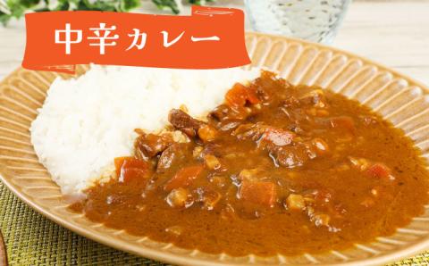 航空自衛隊 築城基地 名物 隊員食堂 カレー (中辛 2個 + 牛すじ 3個)《築上町》【NPO法人築上町観光協会】 レトルトカレー [ABAX001]