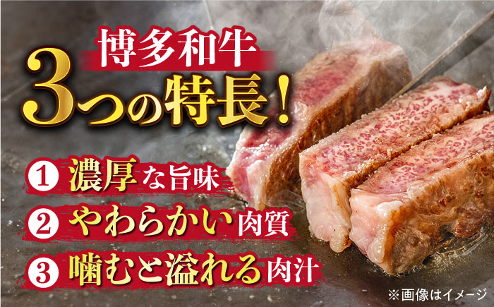 【全12回定期便】【溢れる肉汁と濃厚な旨味】博多和牛サーロインステーキセット 500g(250g×2枚)《築上町》【株式会社MEAT PLUS】 [ABBP032]