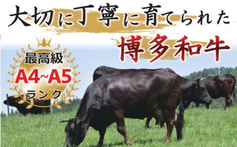 【全6回定期便】【和牛の旨味を堪能！】博多和牛焼肉用 500g《築上町》【株式会社MEAT PLUS】 [ABBP034]