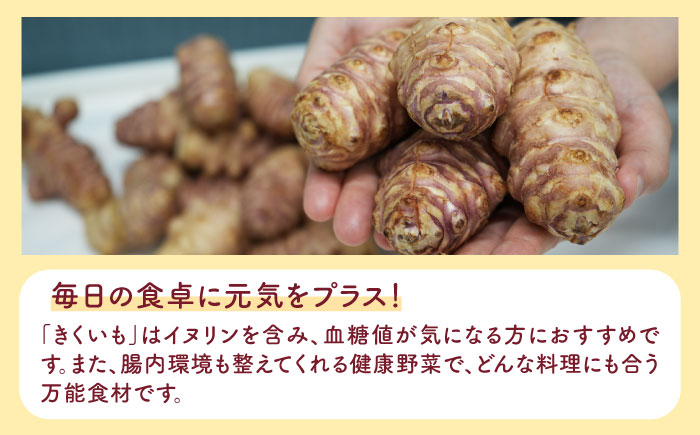 焙煎 築上きくいも茶 3g×15包  《築上町》【合同会社豊築マルシェモンステラ】 菊芋 お茶 [ABBZ016]