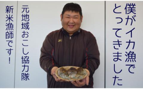 築上町で捕れた コウイカ 約2kg (5～10杯)《築上町》【明青丸】 [ABCB007]