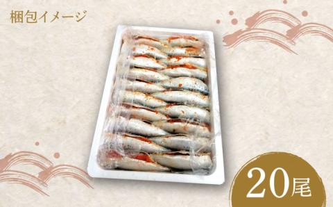 ピリ辛 いわし明太20尾《築上町》【株式会社マル五】 [ABCJ015]