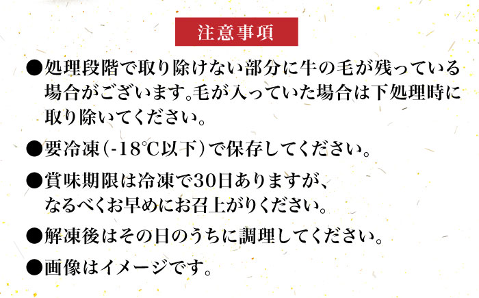 【化粧箱入】博多和牛 牛すじ切落し 1kg《築上町》【株式会社マル五】 [ABCJ027]