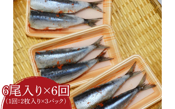 【全6回定期便】ピリ辛 いわし明太6尾《築上町》【株式会社マル五】 [ABCJ076]