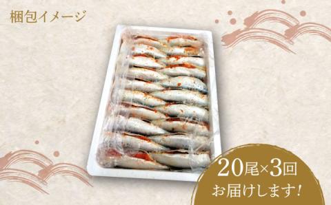 【全3回定期便】ピリ辛 いわし明太20尾《築上町》【株式会社マル五】 [ABCJ078]