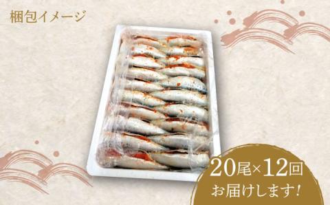 【全12回定期便】ピリ辛 いわし明太20尾《築上町》【株式会社マル五】 [ABCJ080]