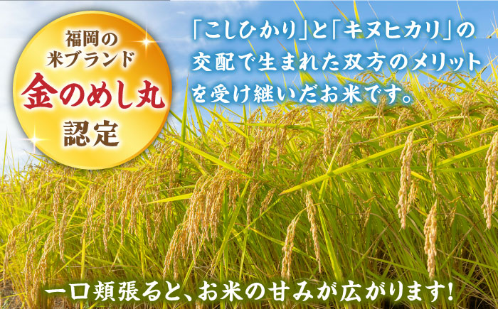 福岡県産米 夢つくし300g×4袋 + 鶏ごぼうご飯の素×2袋 + たけのこご飯の素×2袋 セット《築上町》【有限会社ファインリョーコク】 [ABCO005]