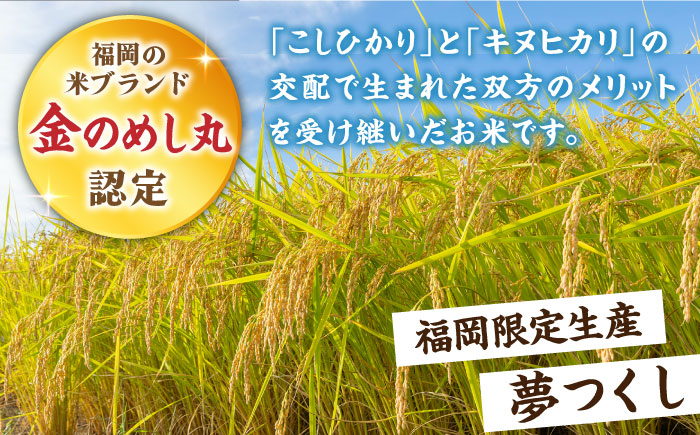 【全12回定期便】福岡県産米 夢つくし 5kg×2袋《築上町》【有限会社ファインリョーコク】米 精米 白米 [ABCO014]