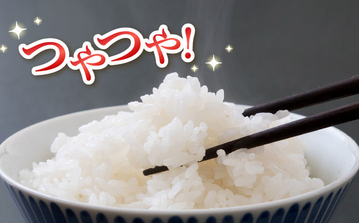 福岡元気つくし5kg×2袋《築上町》【株式会社オカベイ】 [ABCT004] 精米 米 ご飯 ごはん こめ コメ