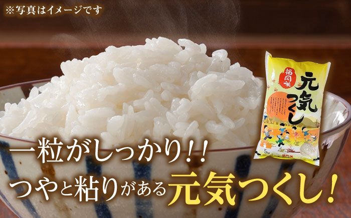 【先行予約】【令和7年産】福岡県産米食べ比べ「夢つくし」と「元気つくし」セット 白米 計10kg【2025年11月以降順次発送】《築上町》【株式会社ゼロプラス】 [ABDD013] お米 白ご飯 元気つくし ブランド米 夢つくし