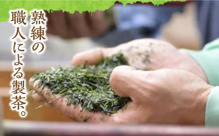 【2025年産】星野村の八女茶 飲み比べ 3本セット《築上町》【株式会社ゼロプラス】 [ABDD051]