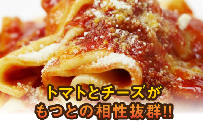 チーズとトマトのローマ風もつ鍋（4～6人前）《築上町》【株式会社ベネフィス】 [ABDF008]