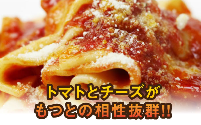 【全12回定期便】チーズとトマトのローマ風もつ鍋（2～3人前）《築上町》【株式会社ベネフィス】 [ABDF051]