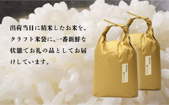 【先行予約】【全6回定期便】福岡の食卓ではおなじみの人気のお米「夢つくし」5kg×2袋 [10kg] [白米]【2024年11月下旬以降順次発送】《築上町》【株式会社ベネフィス】 [ABDF122] 精米 米 ご飯 ごはん こめ コメ