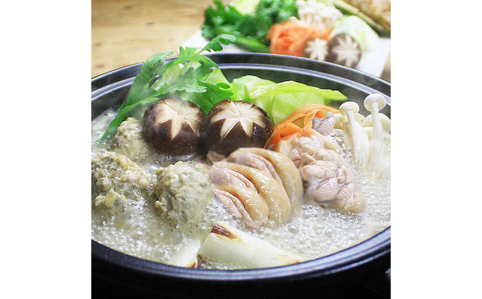 【博多鍋セット2】博多の人気2大鍋のセット「九州醤油もつ鍋」と「博多水炊き(切り身)」計4～6人前《築上町》【株式会社ベネフィス】 [ABDF183]