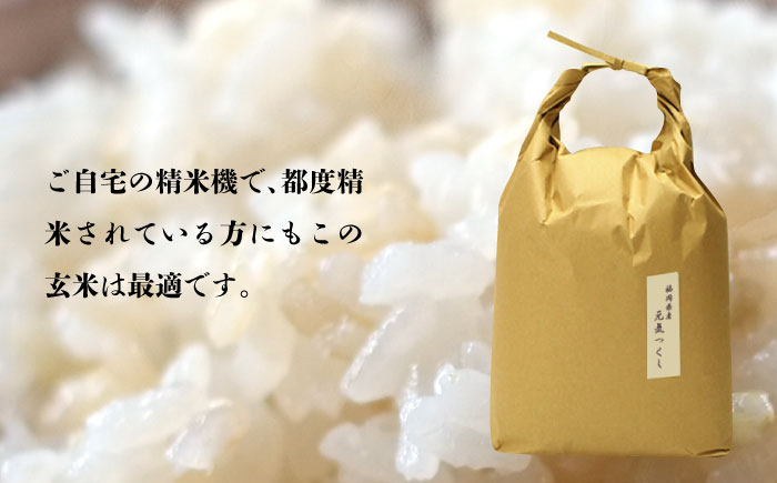 福岡県産【特A】評価のお米「元気つくし」5kg×1袋 [5kg] [玄米]《築上町》【株式会社ベネフィス】 [ABDF202] 令和7年産 ご飯 ごはん 米 こめ コメ おにぎり