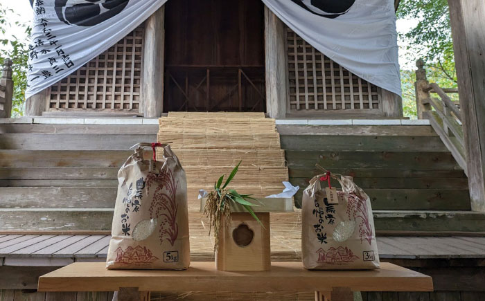 おおぐす長寿米「ヒヨクモチ（もち米）」　10kg [ABDP006]