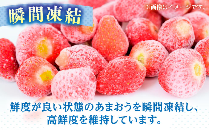 福岡県産 冷凍あまおう 250g（250g×1個）≪築上町≫【株式会社木村食品】[ABEB024] いちご イチゴ 苺 果物 フルーツ [ABEB024]