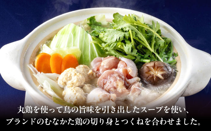 むなかた鶏使用　水炊き2人前 築上町 / 株式会社　海千 [ABEQ027]